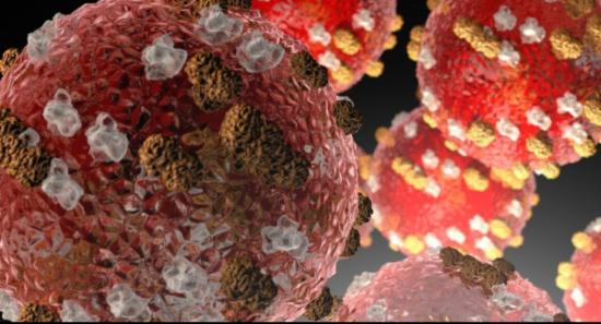 Health Min. Urges Doctors to Report Measles Cases